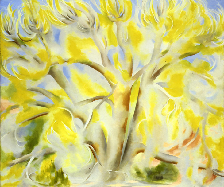 “O’Keeffe in Process” and “Looking Forward Looking Back”